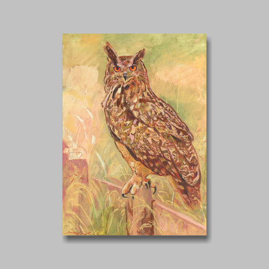 Postkarte, DIN A5, Tiere