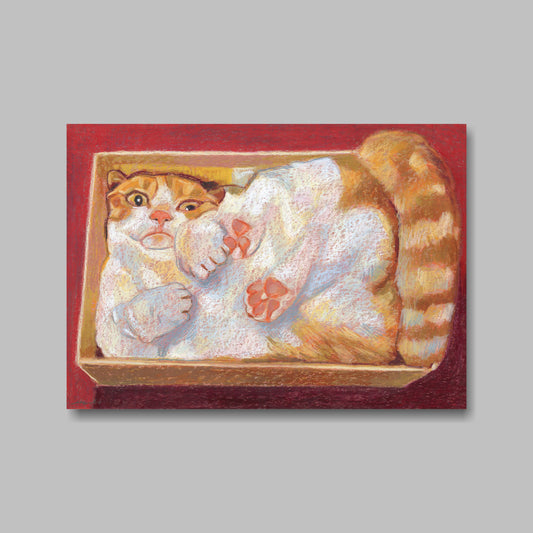 Postkarte, DIN A5, Tiere