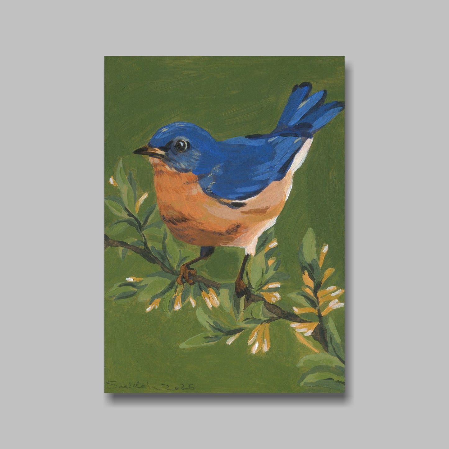 Postkarte, DIN A5, Tiere