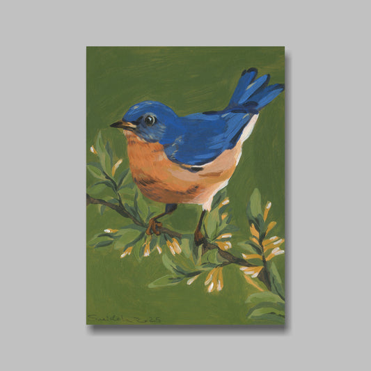 Postkarte, DIN A5, Tiere